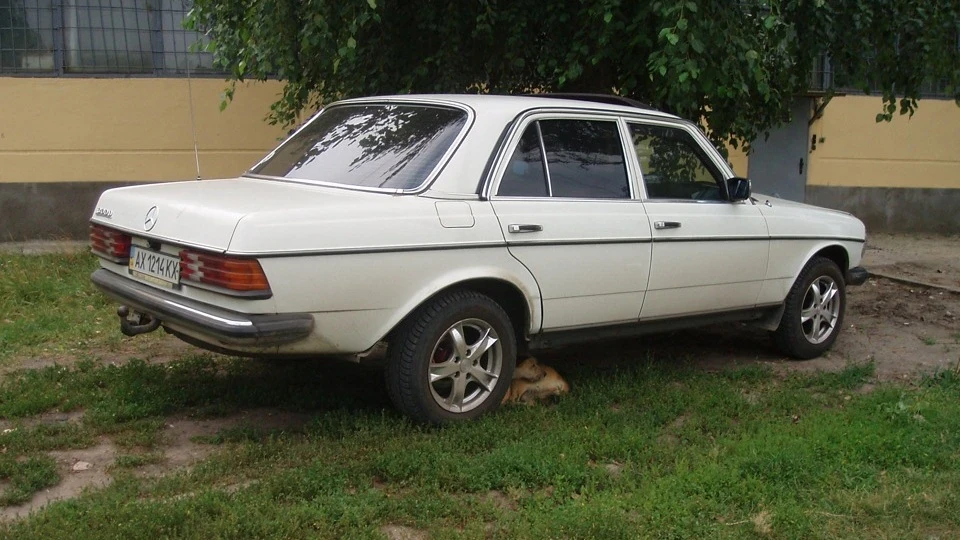 Mercedes-Benz W123 Це ще мерседес