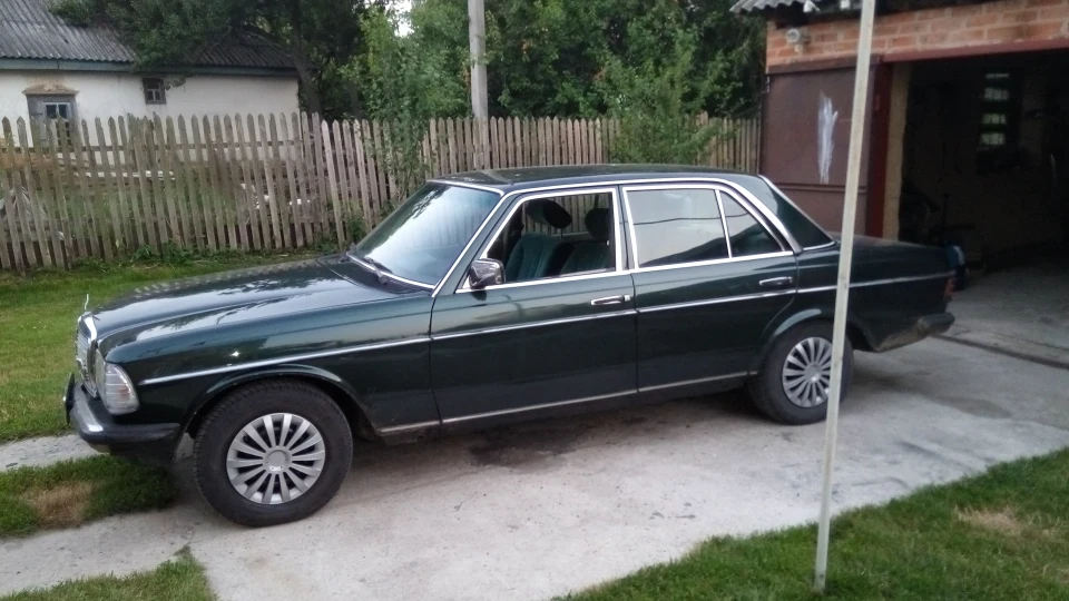 Mercedes-Benz W123 Мерін 2