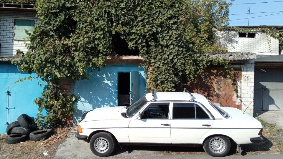 Mercedes-Benz W123 Моя Білосніжка 2