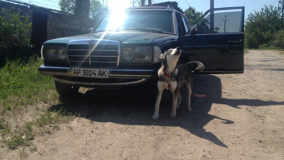 Mercedes-Benz W123 Мурзик 4