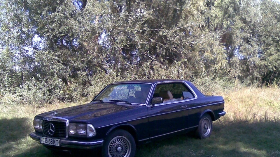 Mercedes-Benz W123 w123cupe (hardtop) 5