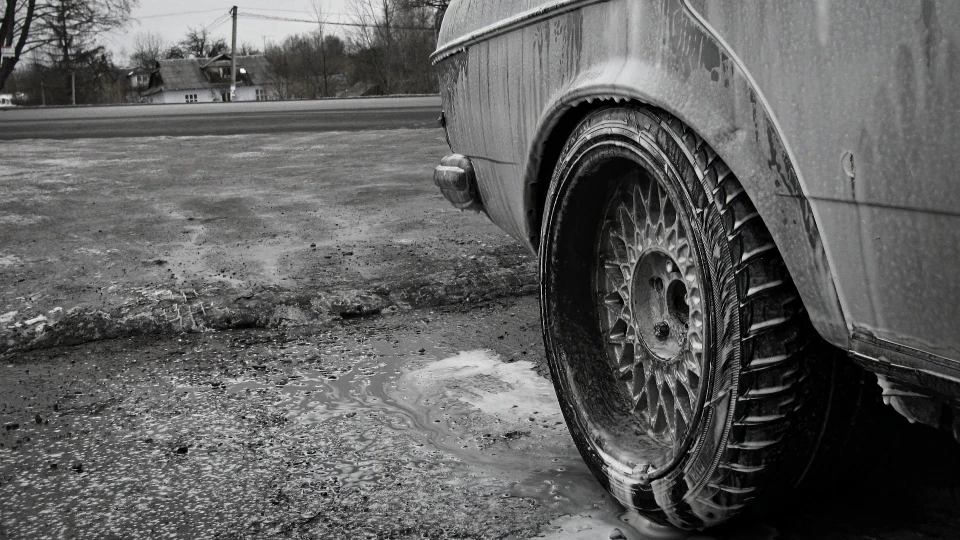 Mercedes-Benz W123 WhatIs DeadMay NeverDie 2