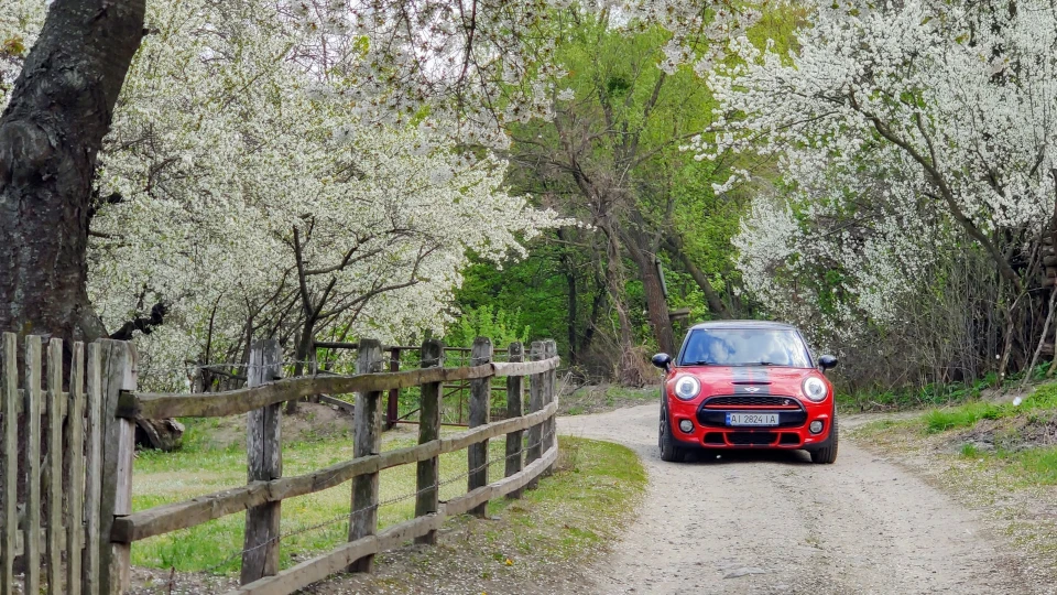 MINI Cooper S Bugzzy ヅ 4