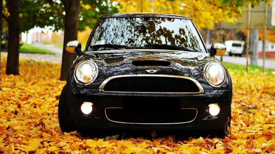 MINI Cooper S Sorry, But I'm crazy. 2
