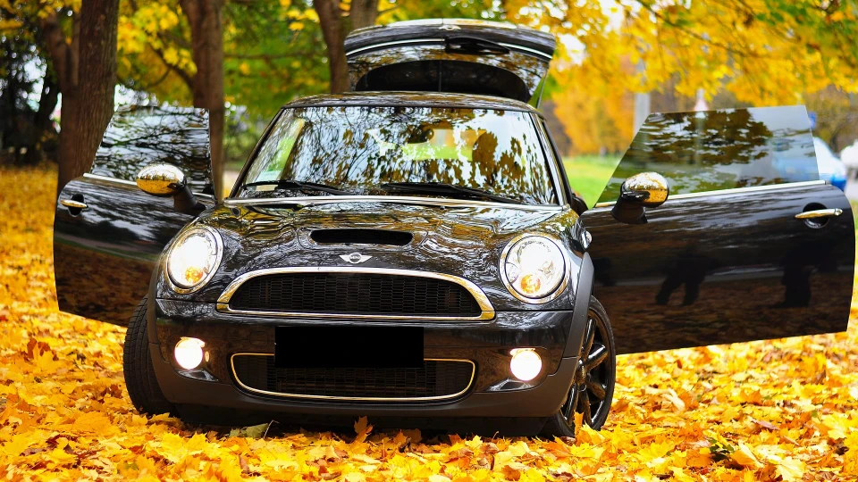 MINI Cooper S Sorry, But I'm crazy. 4