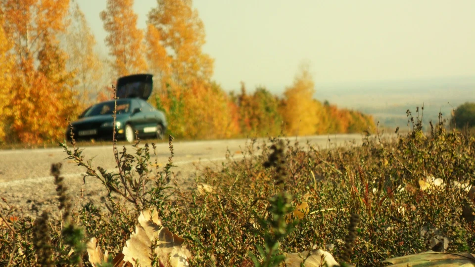 Mitsubishi Carisma Green Road 3