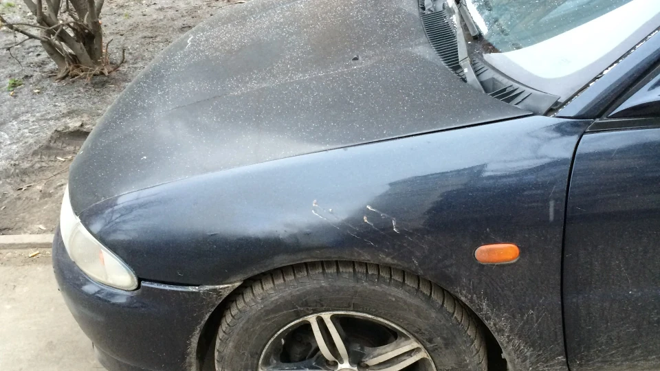 Mitsubishi Colt Баклажанчик 3