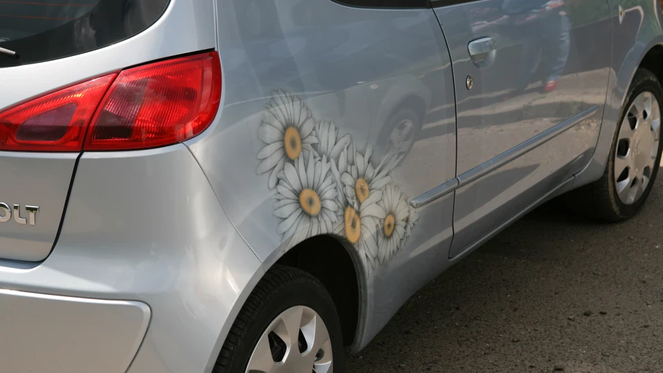 Mitsubishi Colt Ромашки 3