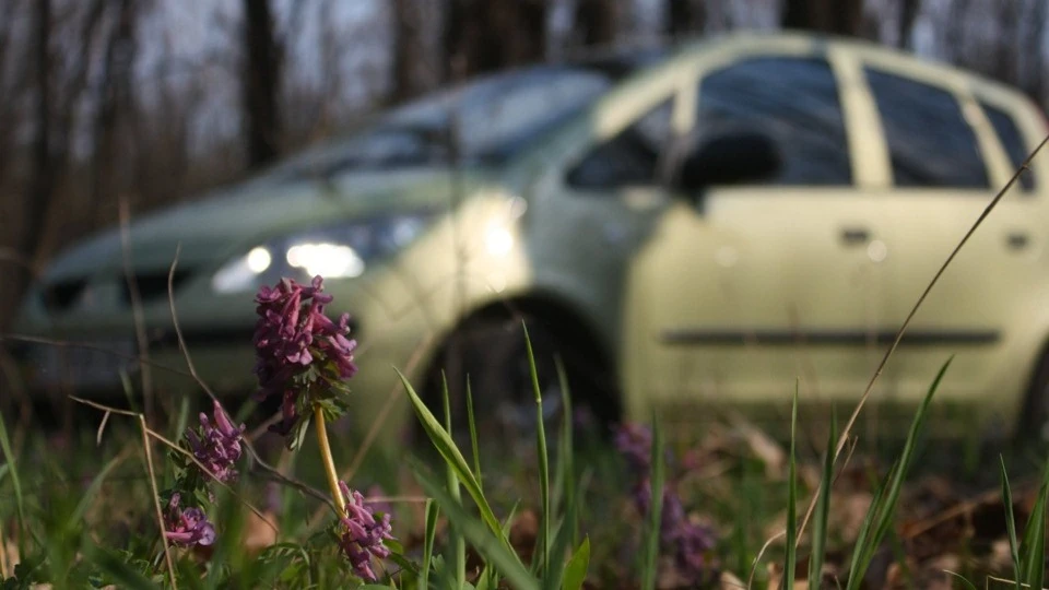 Mitsubishi Colt зелений 3