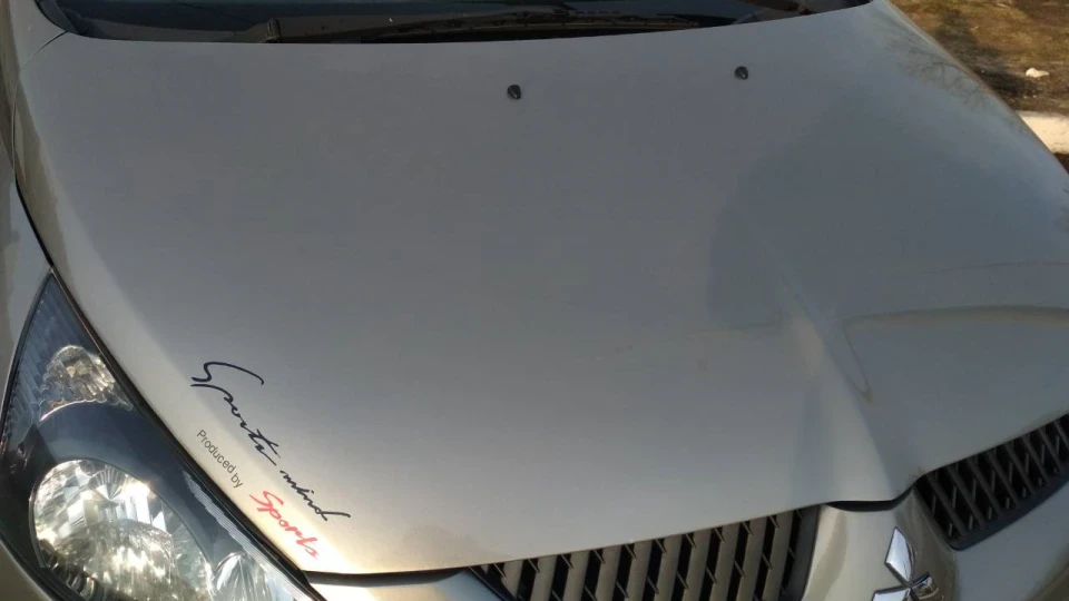 Mitsubishi Grandis 4WD Ексклюзив 2