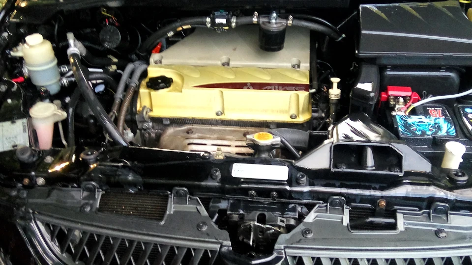 Mitsubishi Grandis Багірушка 3
