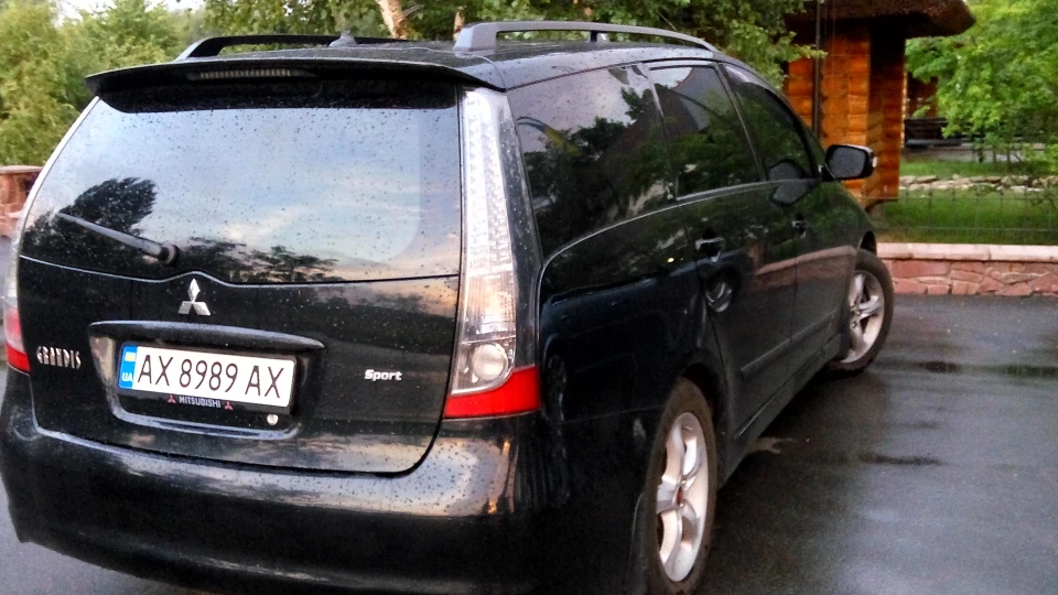 Mitsubishi Grandis Багірушка 4