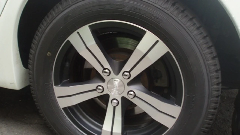Mitsubishi Grandis Білий корабель 3