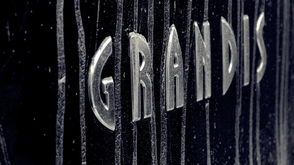 Mitsubishi Grandis Dikiy Grun