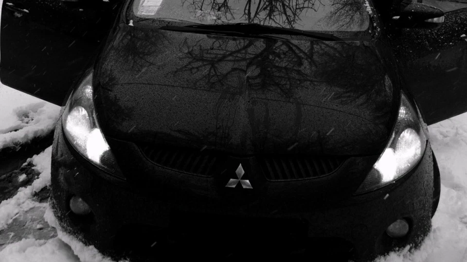Mitsubishi Grandis Dikiy Grun 4