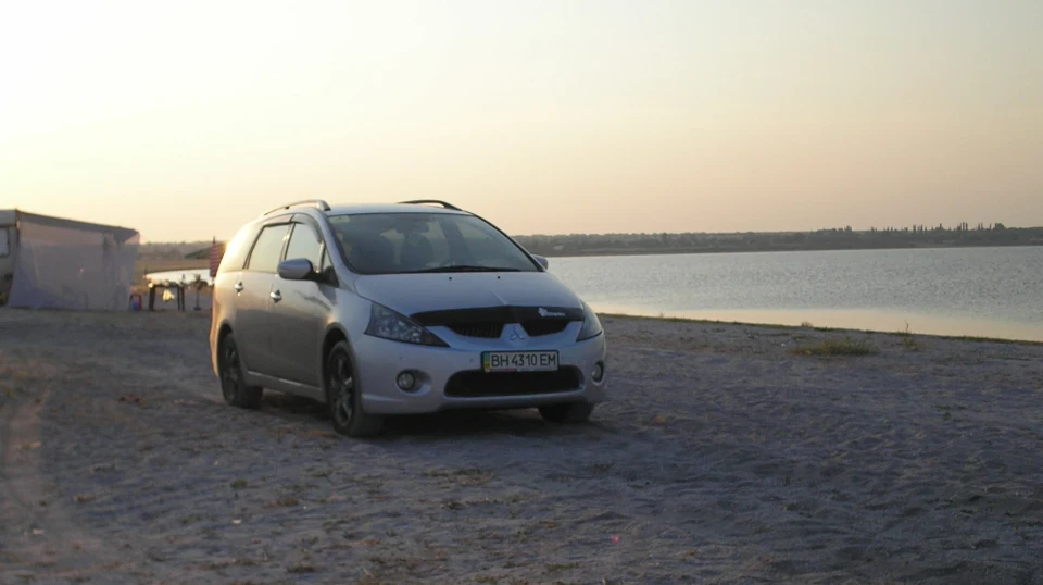 Mitsubishi Grandis Домашня тварина