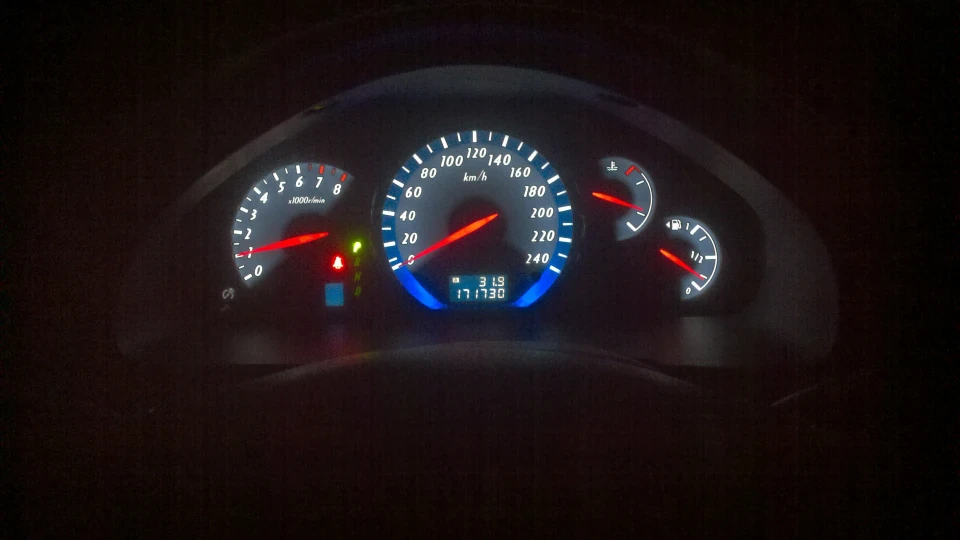 Mitsubishi Grandis Домашня тварина 2