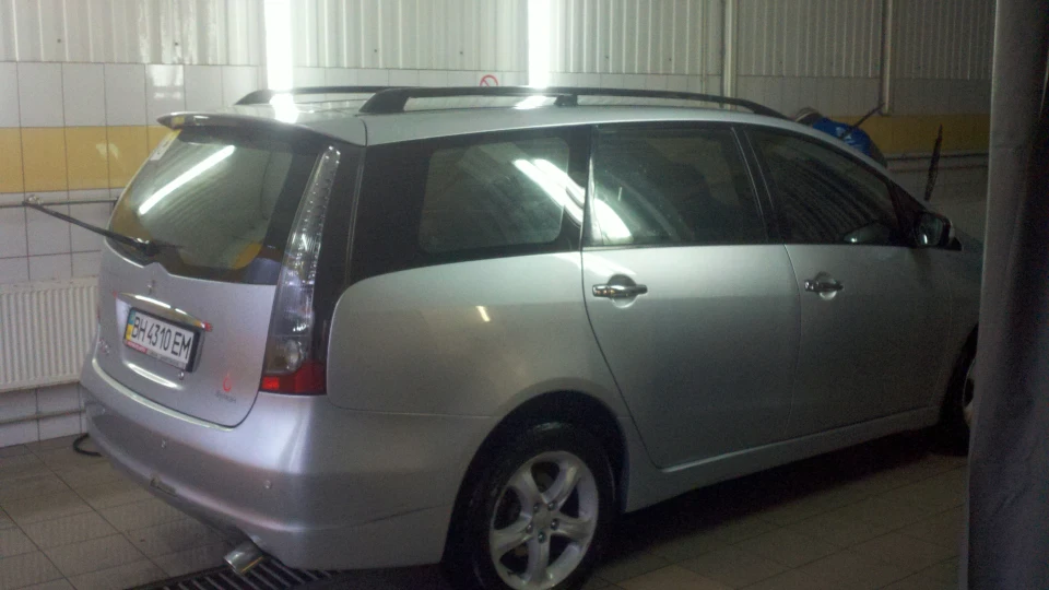 Mitsubishi Grandis Домашня тварина 3