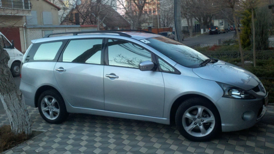 Mitsubishi Grandis Домашня тварина 4