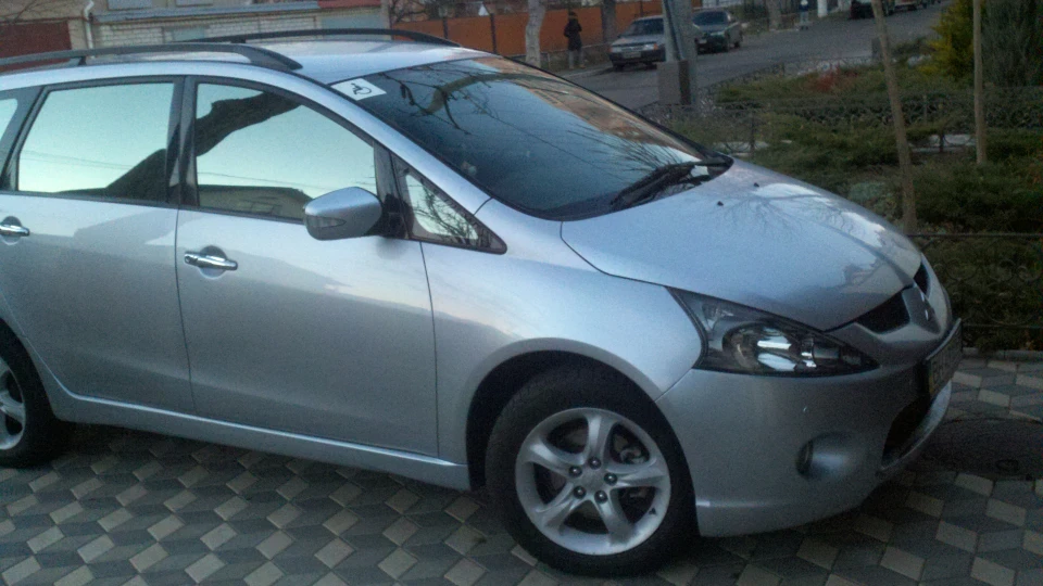 Mitsubishi Grandis Домашня тварина 5