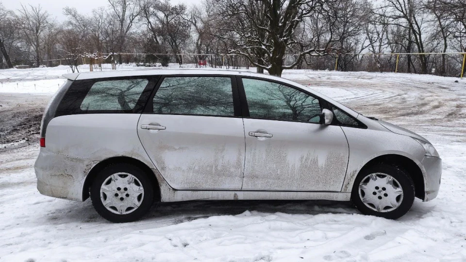 Mitsubishi Grandis Грюня 5