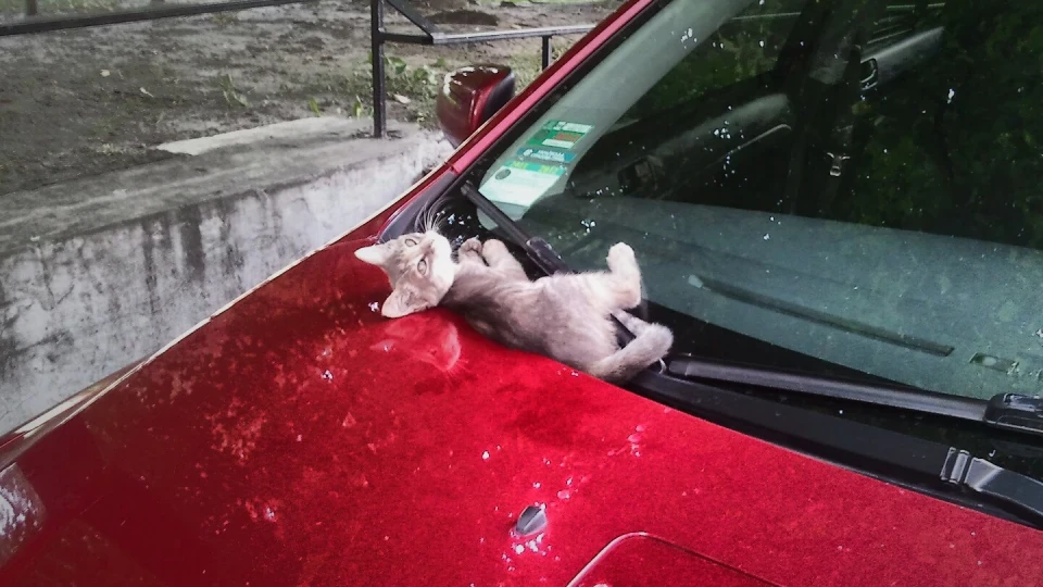 Mitsubishi Lancer 5