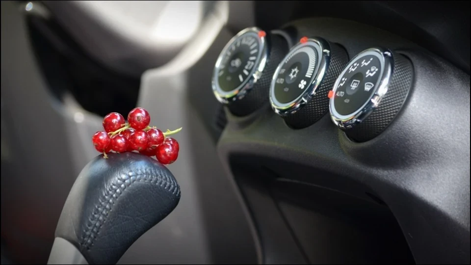 Mitsubishi Outlander XL Червона Смородина 3