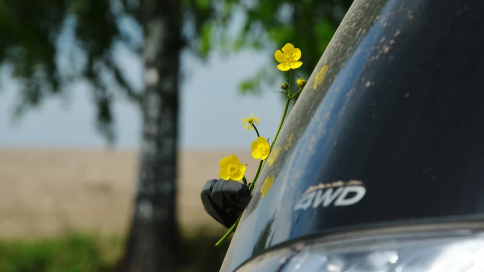 Mitsubishi Outlander XL Червона Смородина 5
