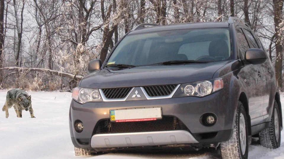 Mitsubishi Outlander XL Сірий Вовк 4