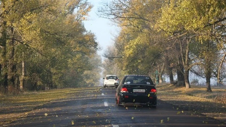 Mitsubishi Outlander XL Тигрена....АррРРррр 5