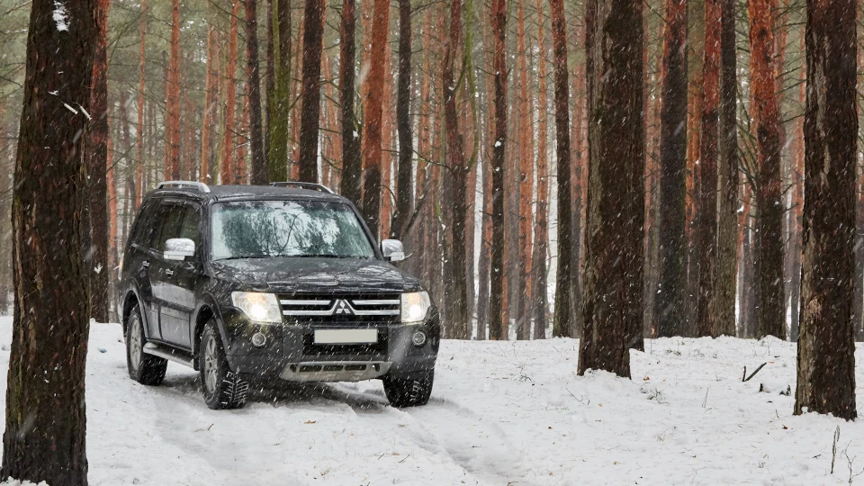 Mitsubishi Pajero 2