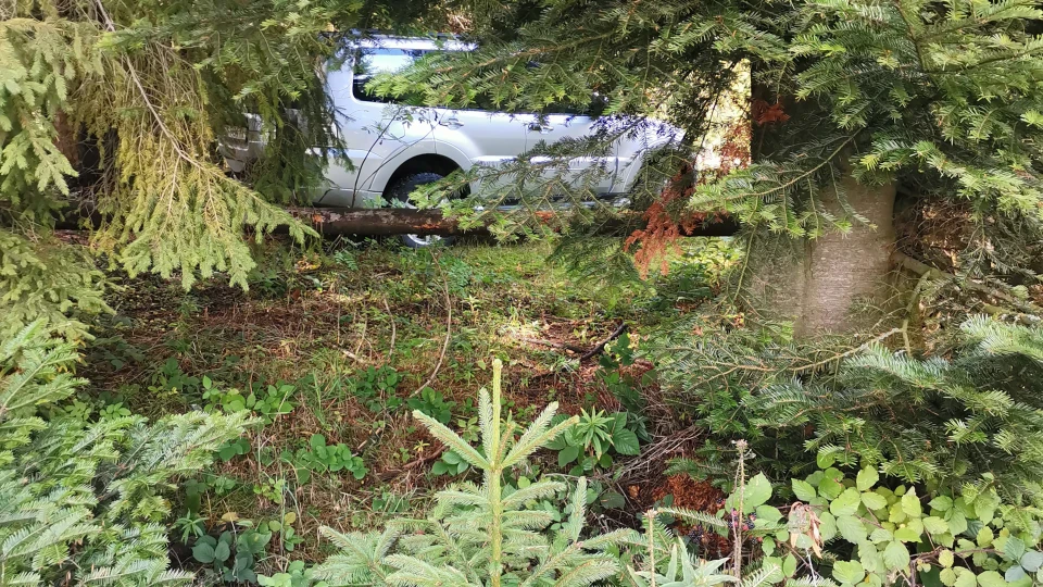 Mitsubishi Pajero ДІД 3.2 🤠 5