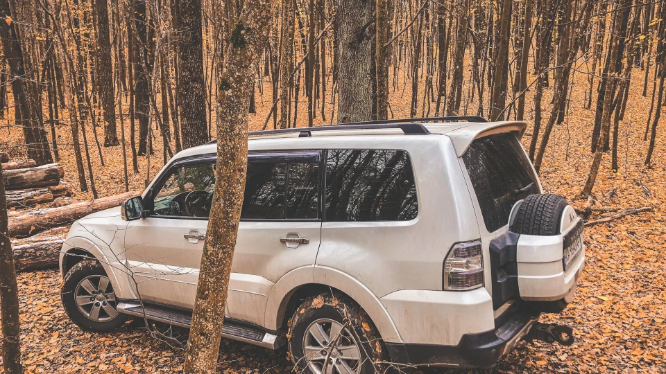 Mitsubishi Pajero Жора 2