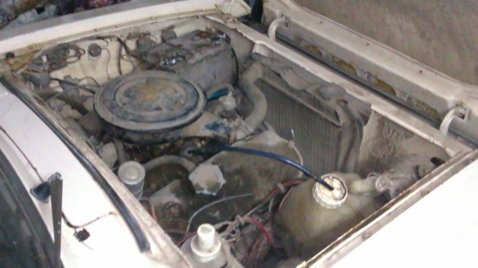 Station Wagon 3