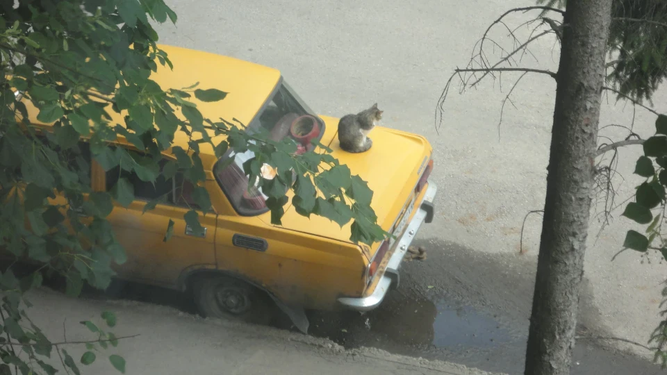Москвич 2140 5