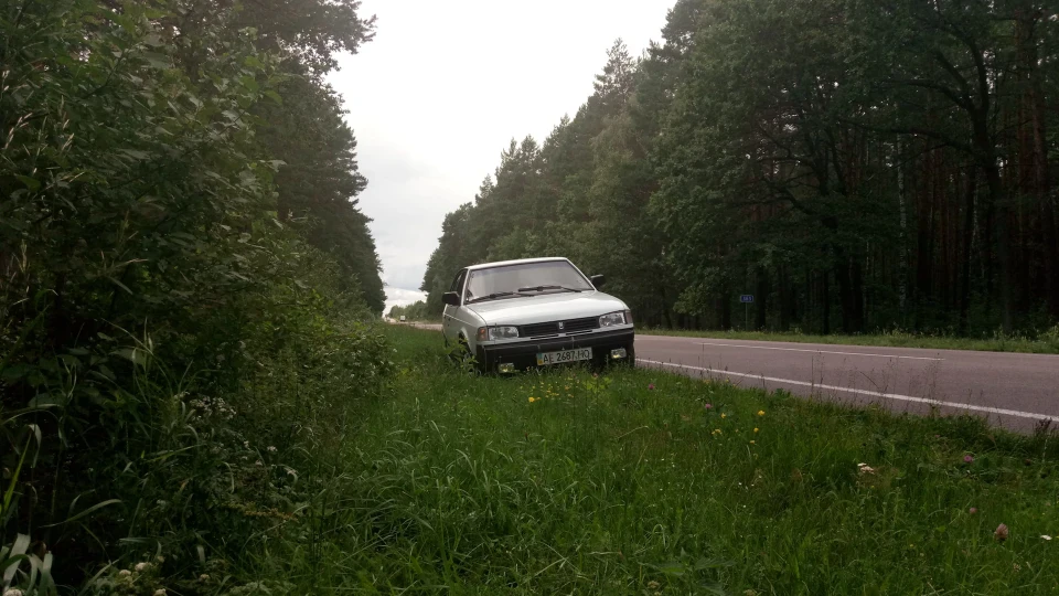 Москвич Святогор 1.6 16 V Snow White 4