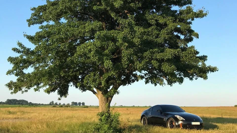 Nissan 350Z 2