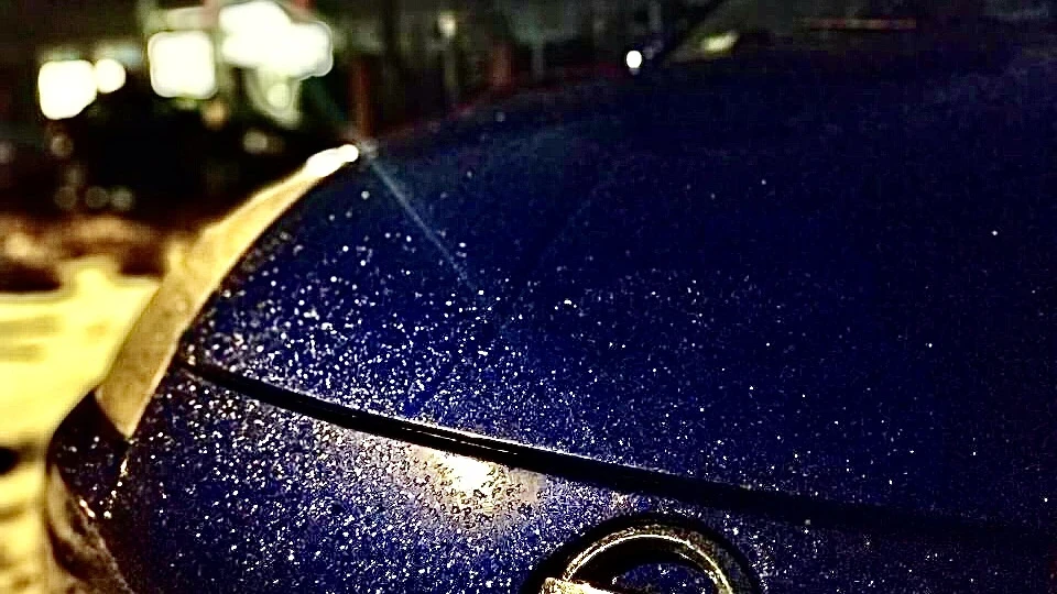 Nissan 350Z BlueFairladyZ 2