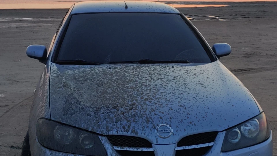 Nissan Almera бульбазавр 4
