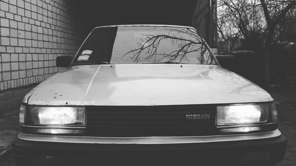 Nissan Bluebird Angry Bird 5