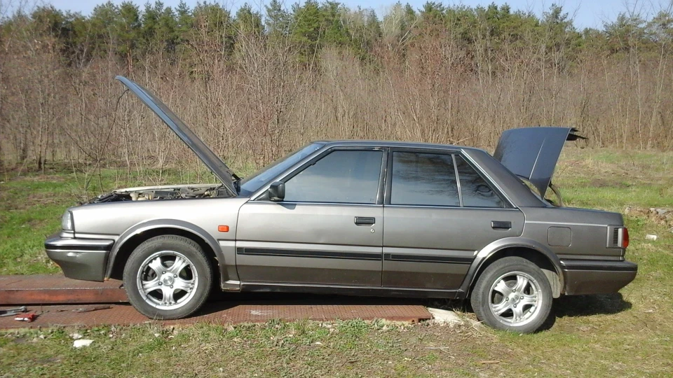 Nissan Bluebird Скромний люкс 2