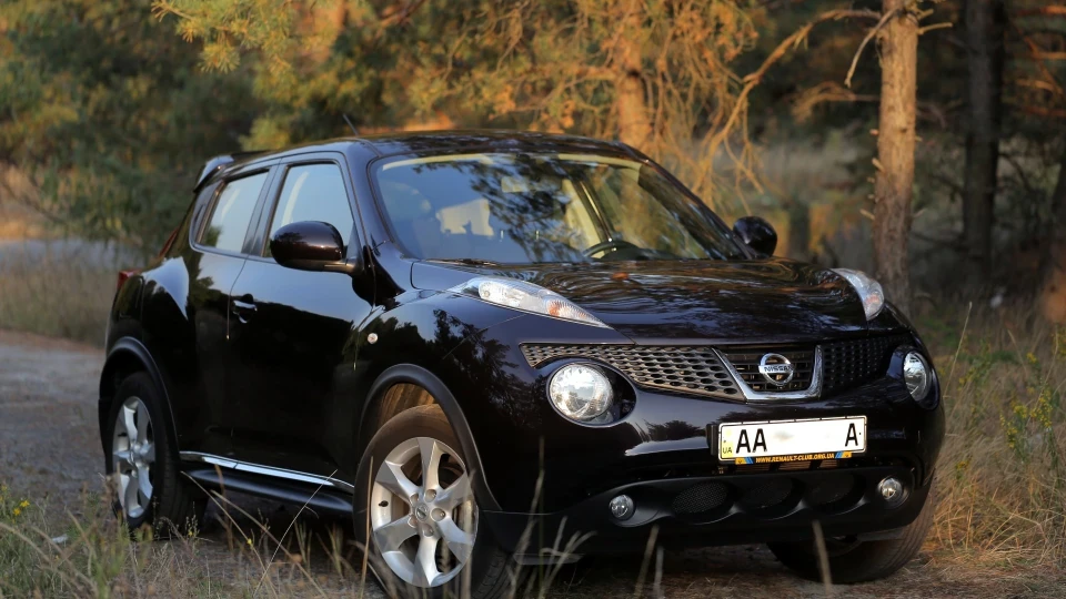 Nissan Juke ♣Purple-Pups♠ 3