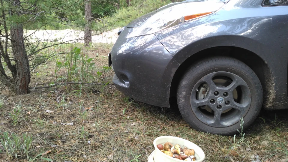 Nissan Leaf 5