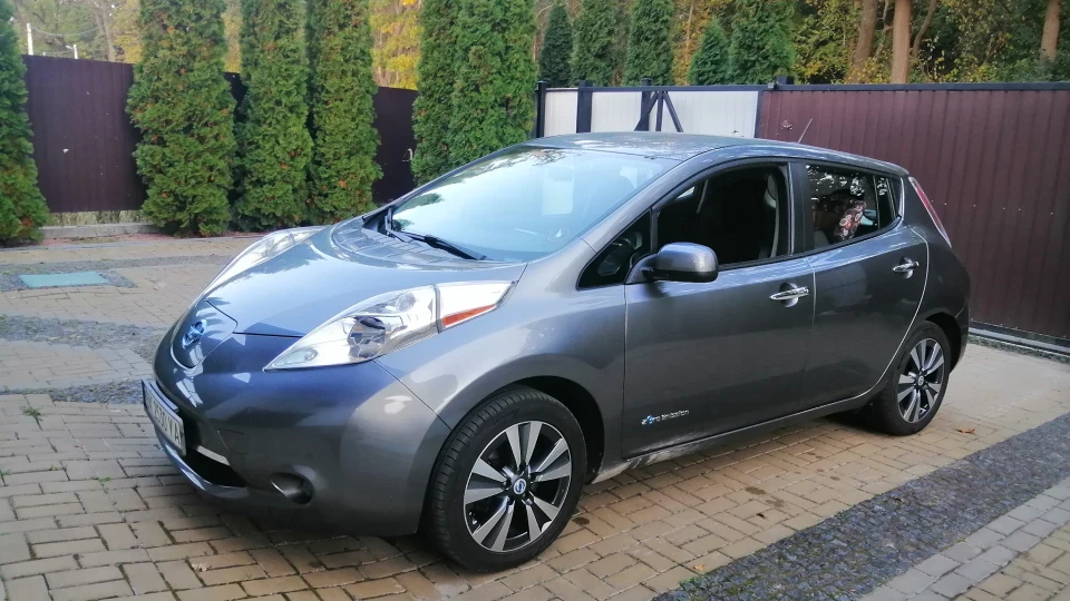 Nissan Leaf Flash