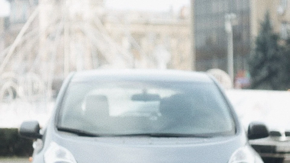 Nissan Leaf GrayBra#3