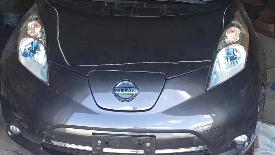 Nissan Leaf Project leaf- Future
