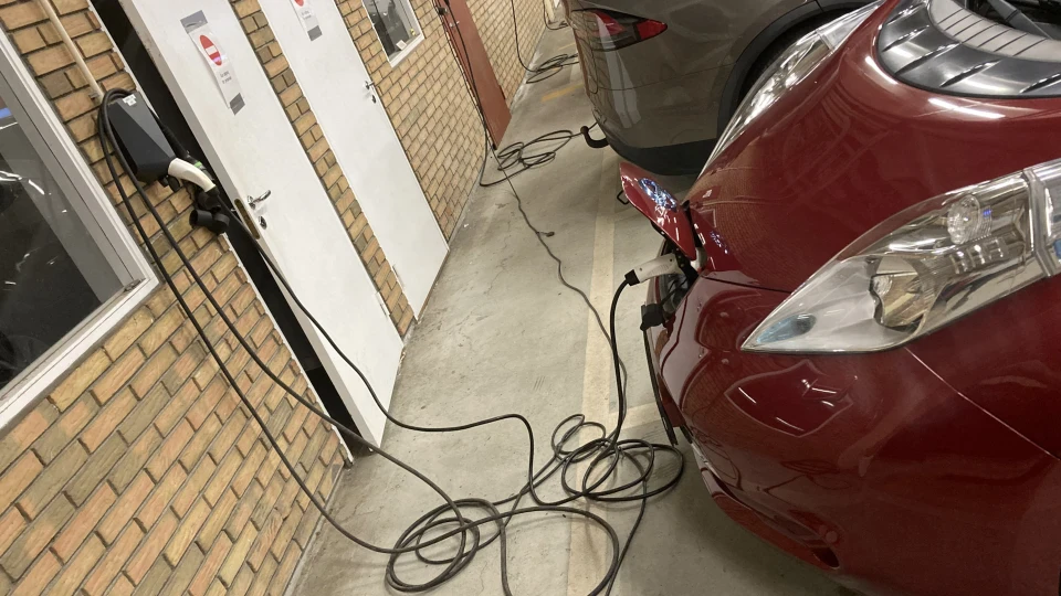 Nissan Leaf набрякла нирка 2