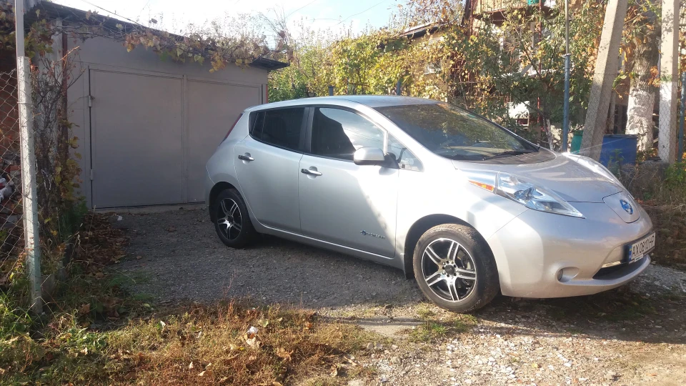 Nissan Leaf Сіра жаба
