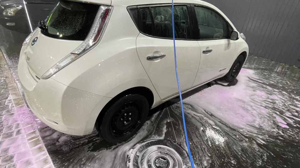 Nissan Leaf Шнир