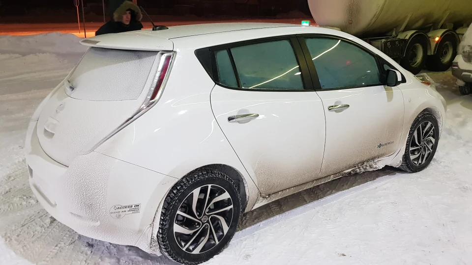 Nissan Leaf Умка